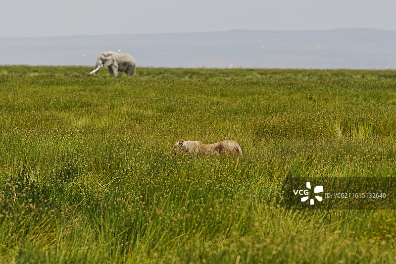 安博塞利公园图片素材