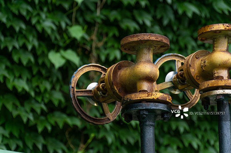 废弃与新生，南通1895文化创意产业园，废弃厂房的绿色新貌图片素材