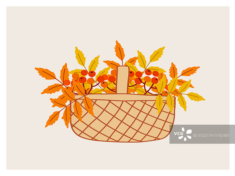 装满秋叶和浆果的篮子图片素材