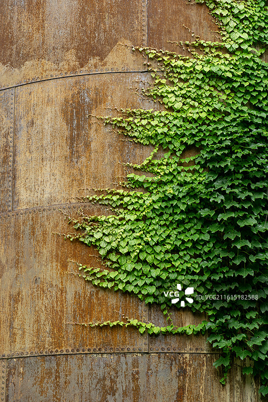 废弃与新生，南通1895文化创意产业园废弃工厂绿意新貌图片素材