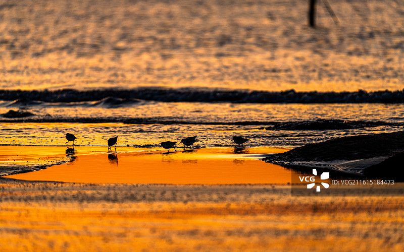 珠海市金湾区横石基海上风车欧米伽日出图片素材