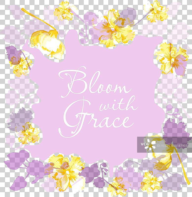 盛开的室内盆栽植物的独立画框图片素材