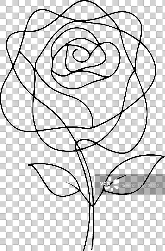 玫瑰花平铺图片素材