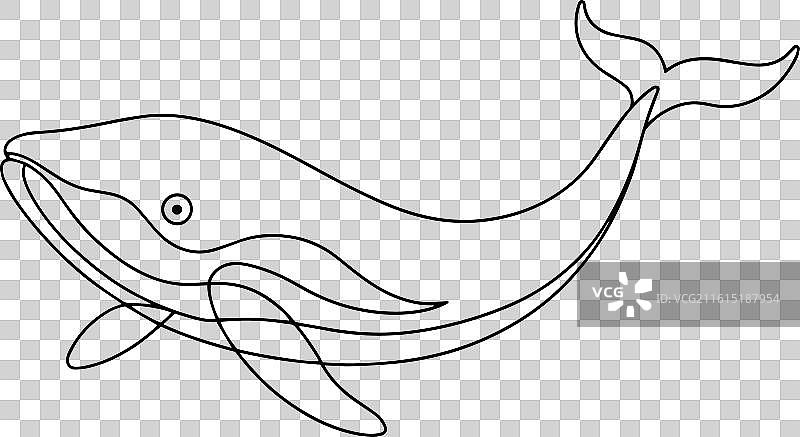 鲸鱼的连续线条艺术，白色背景图片素材