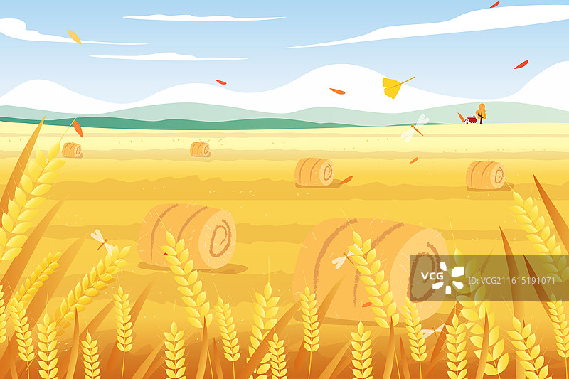 秋天的麦田图片素材