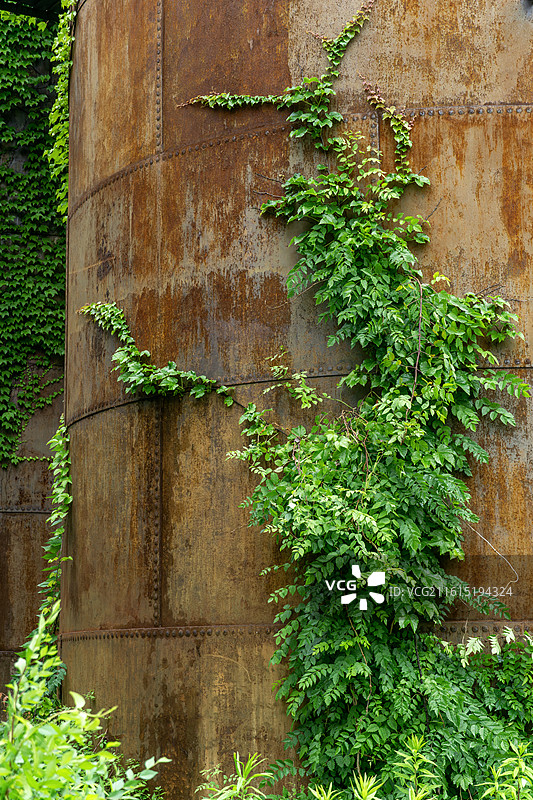 废弃与新生，南通1895文化创意产业园，废弃厂房的绿色新貌图片素材