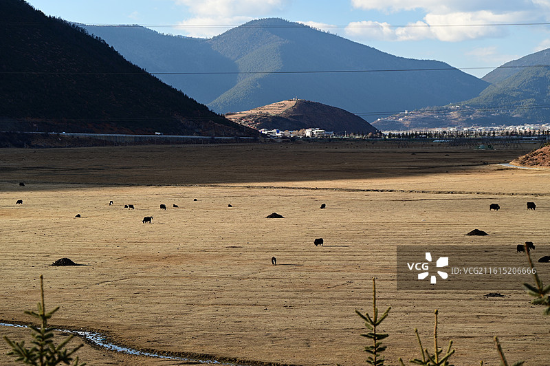 香格里拉松赞林寺图片素材