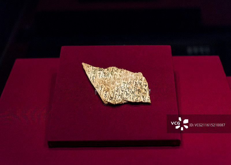 习字甲骨 商 殷墟遗址大司空村出土 中国社会科学院考古研究所藏  北京大运河博物馆“看见殷商”特展图片素材