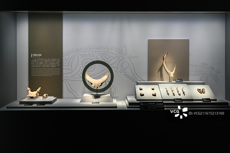 田螺山遗址文物展陈——圣水牛头骨与河姆渡文化遗存图片素材