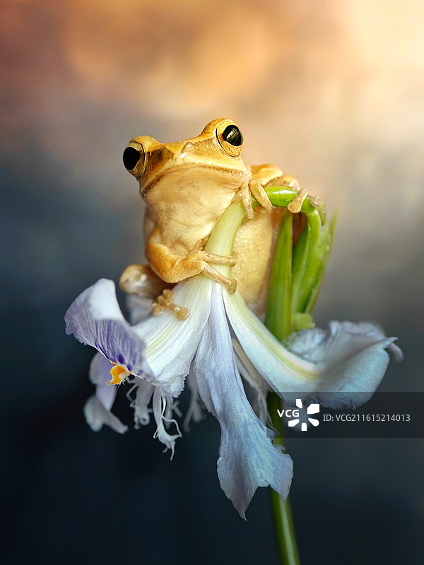 被阳光眷顾的一天图片素材