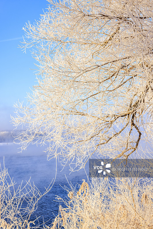 吉林万缕银丝小雾凇岛四星级雾凇仙境图片素材