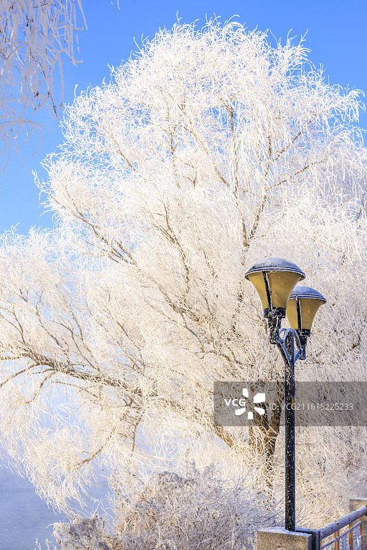 吉林万缕银丝小雾凇岛四星级雾凇仙境图片素材