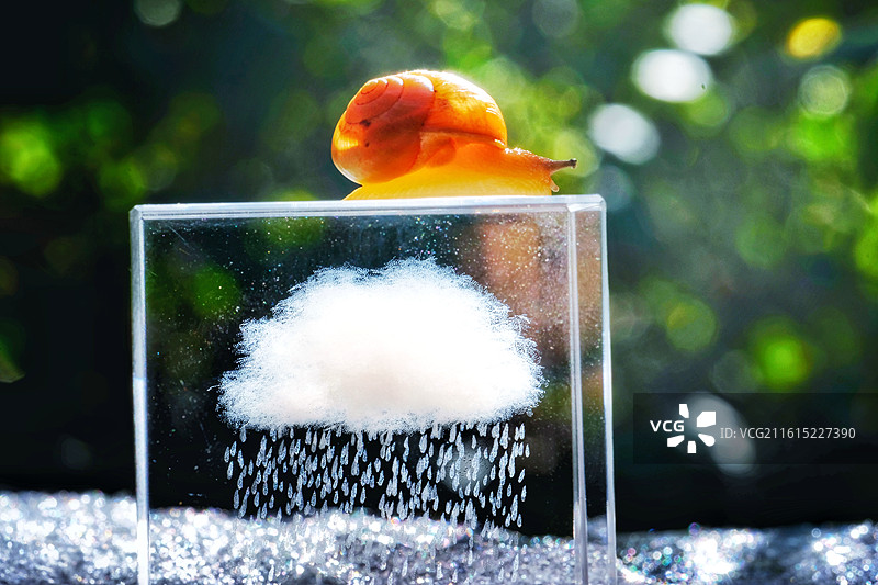 冬天。蜗牛。天气寒冷心情情绪云朵下雨图片素材