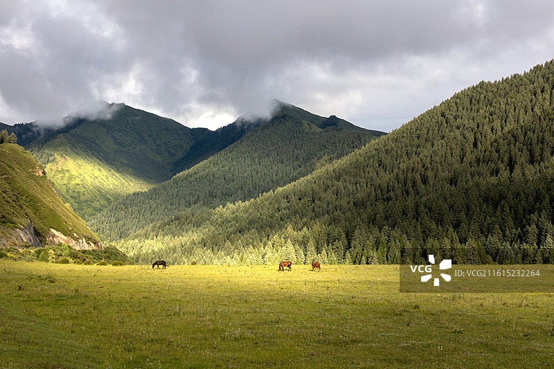 甘肃卓尼县其布林卡图片素材