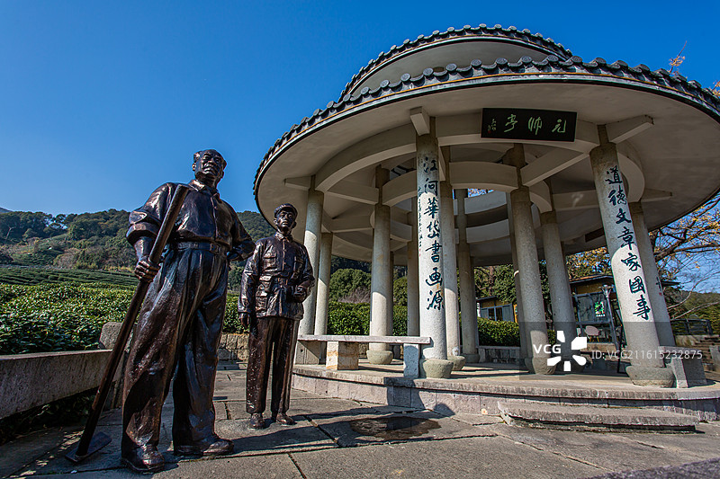 杭州画外桐坞龙井茶园图片素材