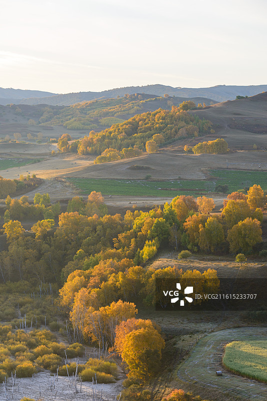 内蒙古赤峰乌兰布统透风沟秋景日出图片素材