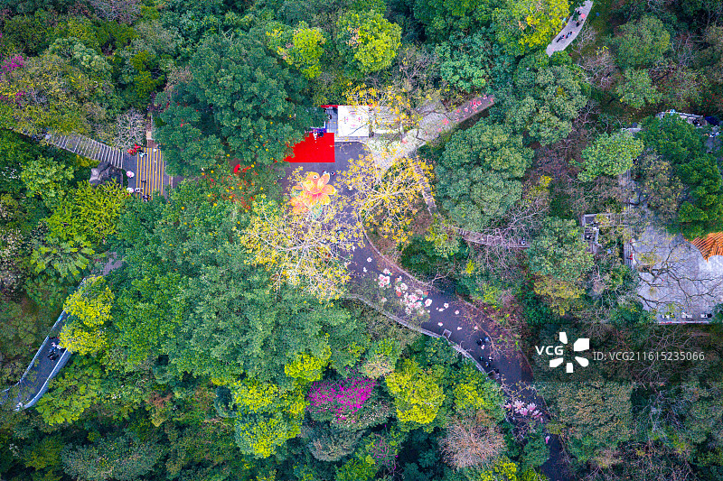 航拍广州白云山摩星岭与“大湾鸡”一起迎接新年第一缕阳光图片素材