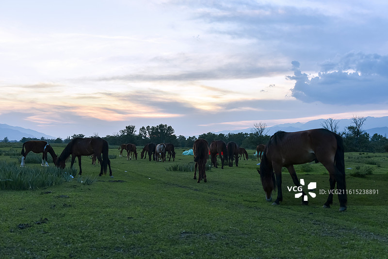 娜娜提空中草原图片素材