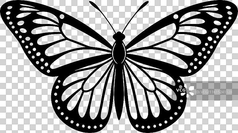 帝王蝶图片素材