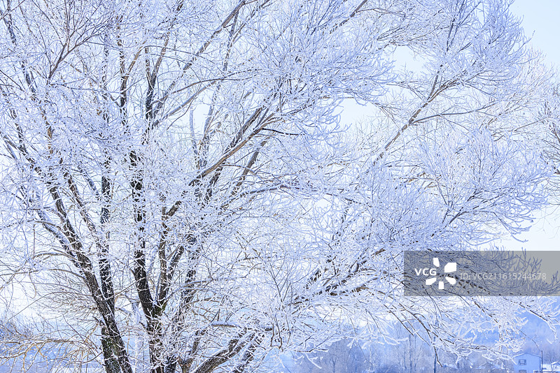 吉林万缕银丝小雾凇岛四星级雾凇仙境图片素材