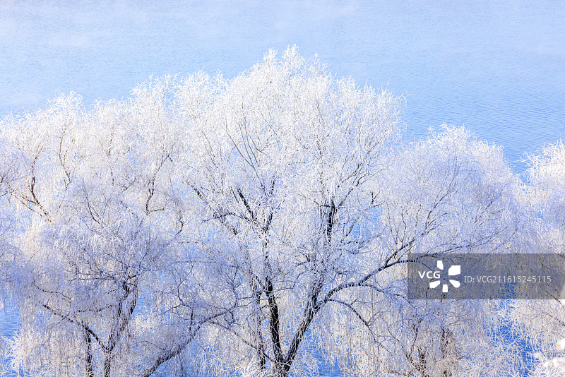 吉林万缕银丝小雾凇岛四星级雾凇仙境图片素材