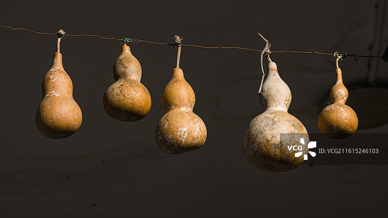 随手乱拍图片素材