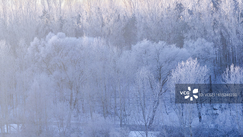 吉林万缕银丝小雾凇岛四星级雾凇仙境图片素材