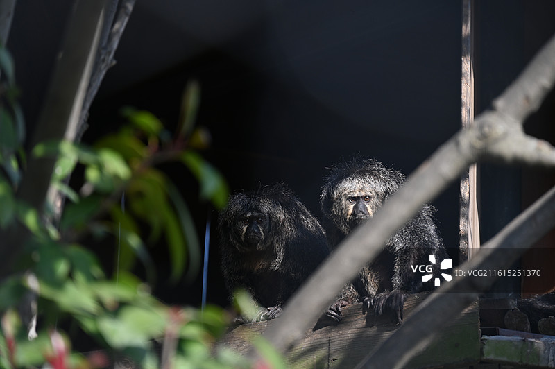 南通动物园图片素材