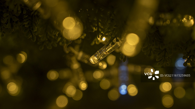 喜庆节日圣诞节灯光布置树木光带特写图片素材