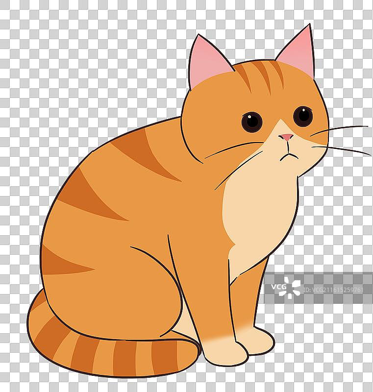 一只可爱的卡通橘黄色的猫咪小猫哺乳动物元素坐姿插画图片素材