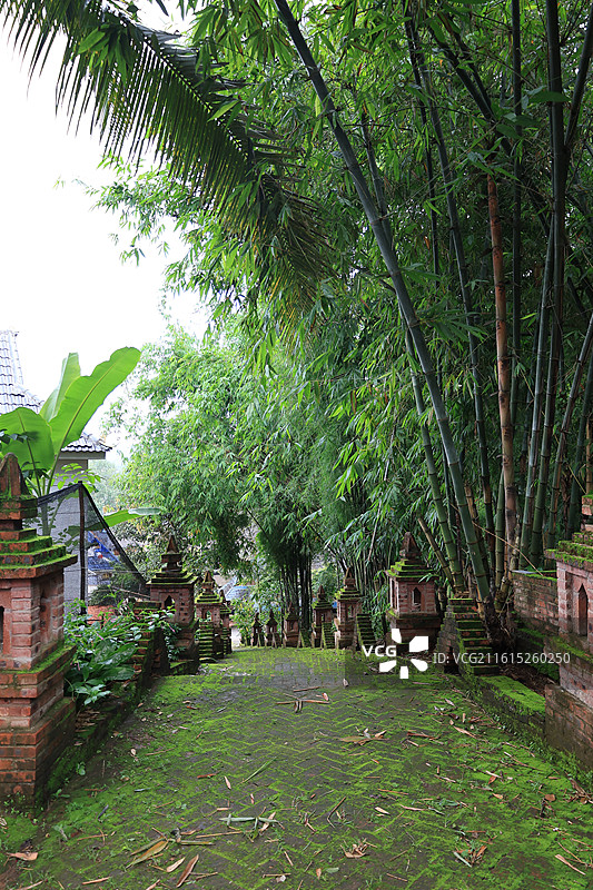 西双版纳曼丢村图片素材