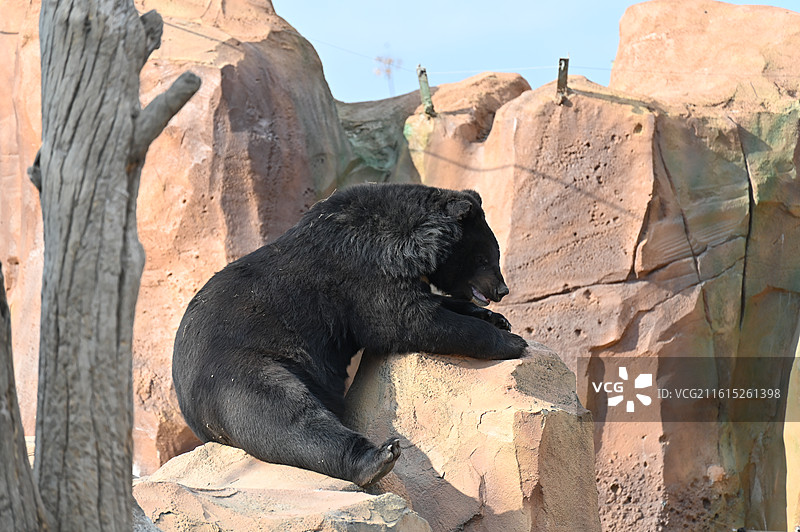 南通动物园图片素材