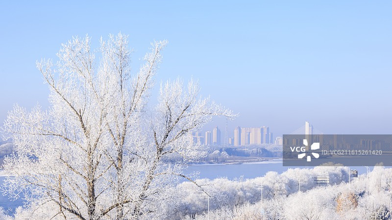 吉林万缕银丝小雾凇岛四星级雾凇仙境图片素材