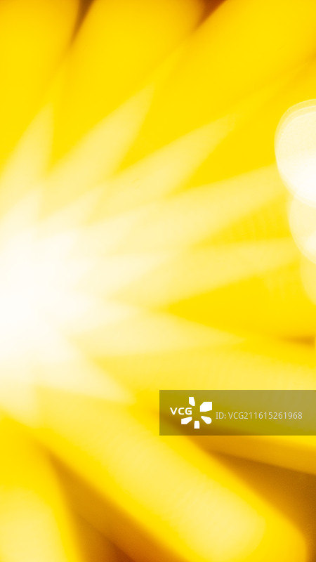 喜庆节日圣诞节灯光布置树木光带特写图片素材