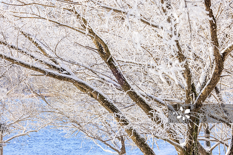 吉林万缕银丝小雾凇岛四星级雾凇仙境图片素材