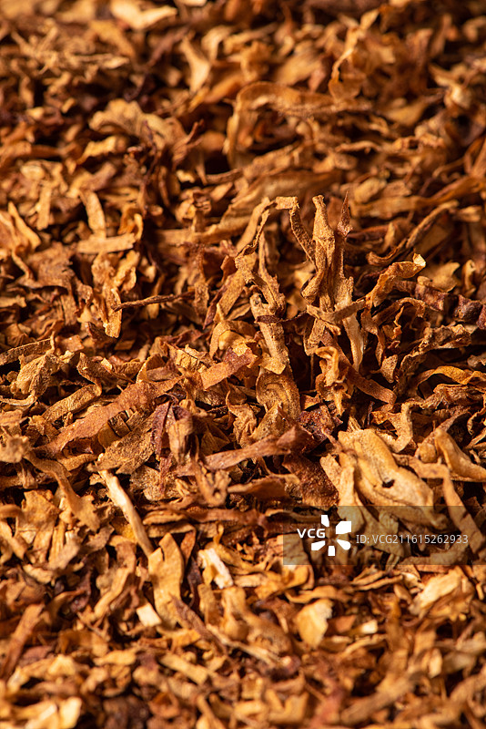 烘烤的烟叶烟丝特写图片素材