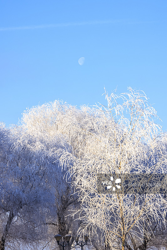 吉林万缕银丝小雾凇岛四星级雾凇仙境图片素材