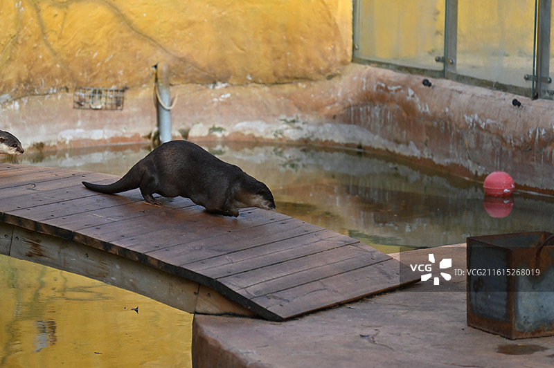 南通动物园图片素材