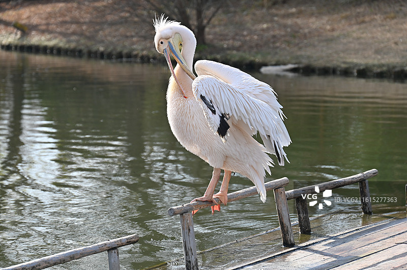 南通动物园图片素材