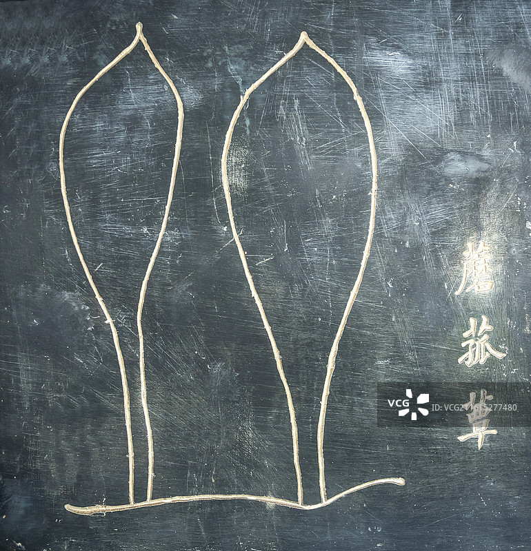 湖北省黄冈市蕲春县李时珍纪念馆石刻中草药菰蕈图片素材