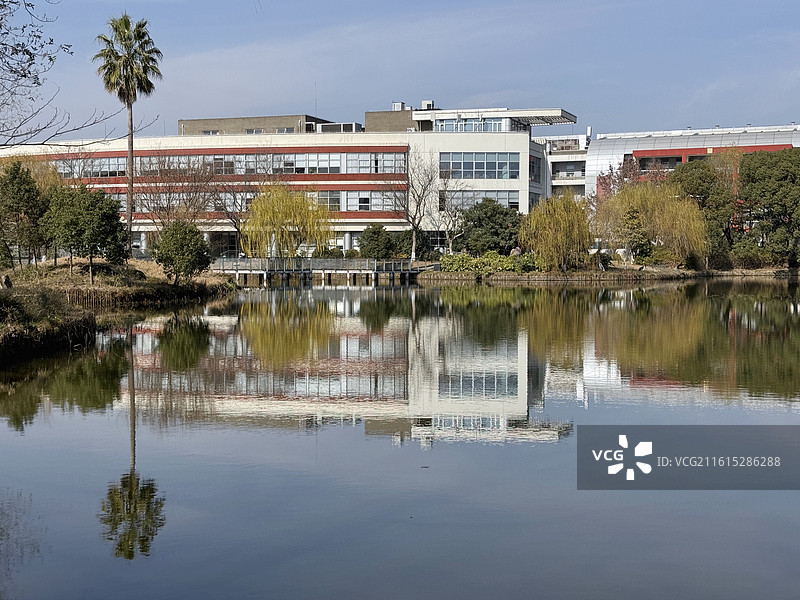 上海中医药大学校园湖景图片素材