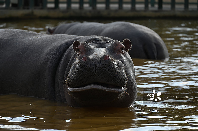 南通动物园图片素材