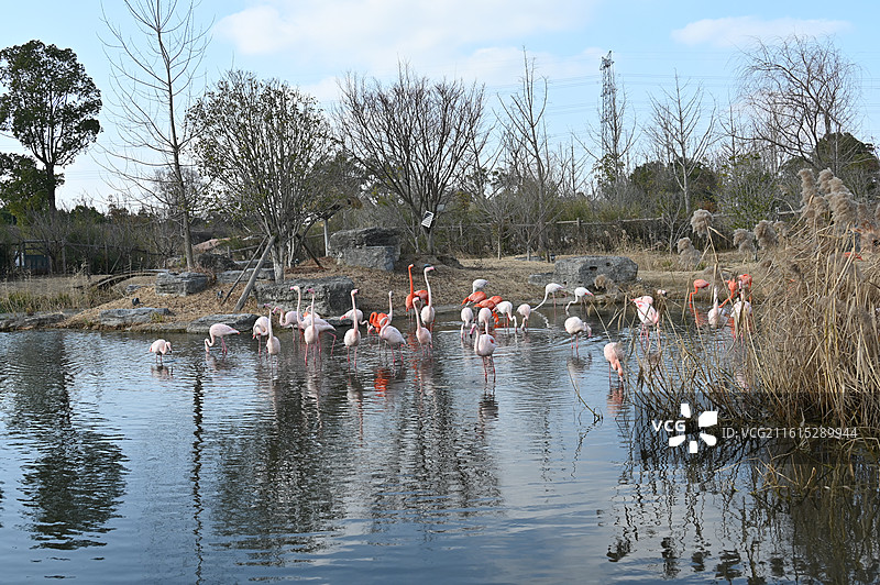 南通动物园图片素材