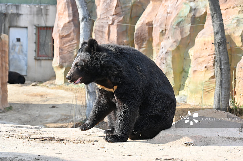 南通动物园图片素材