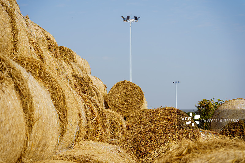佛山市三水区南山镇的草垛图片素材