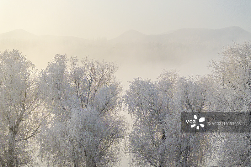 吉林万缕银丝小雾凇岛四星级雾凇仙境图片素材