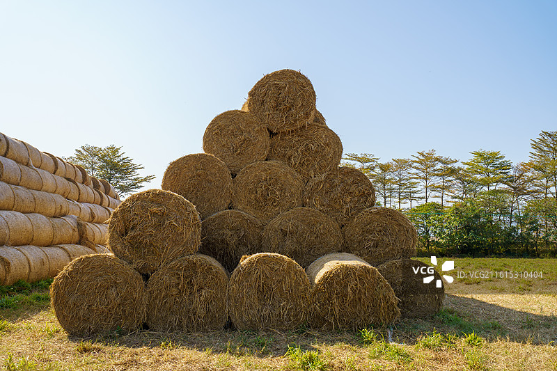 佛山市三水区南山镇的草垛图片素材