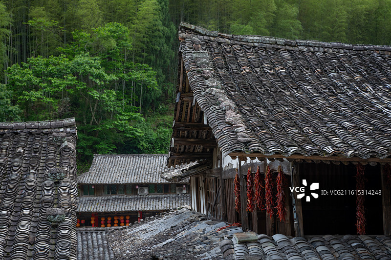 温州林坑村图片素材