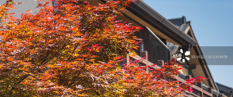 无锡拈花湾禅意小镇图片素材