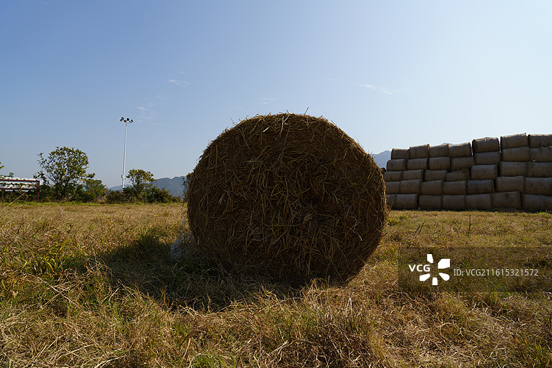 佛山市三水区南山镇的草垛图片素材